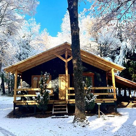 Cabanas Bosque Las Trancas Extérieur photo