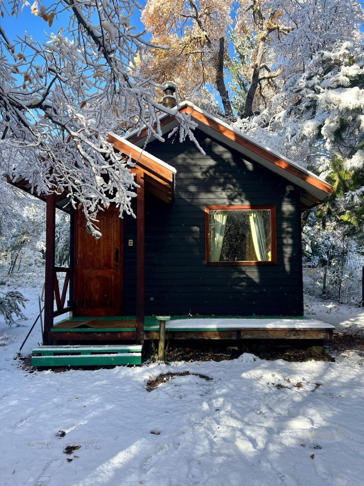 Cabanas Bosque Las Trancas Extérieur photo